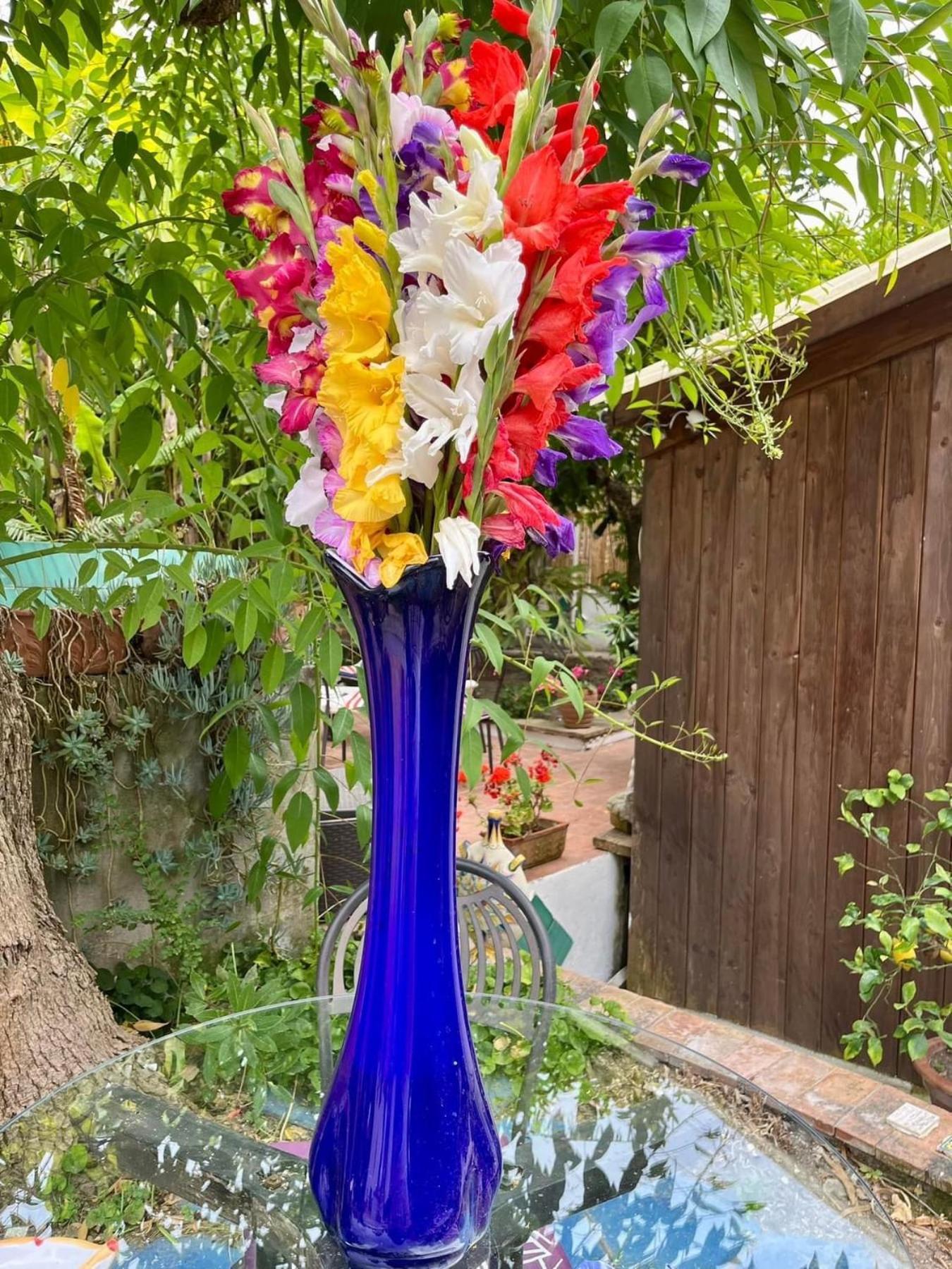 Affittacamere Striano - - Garden&art Capri