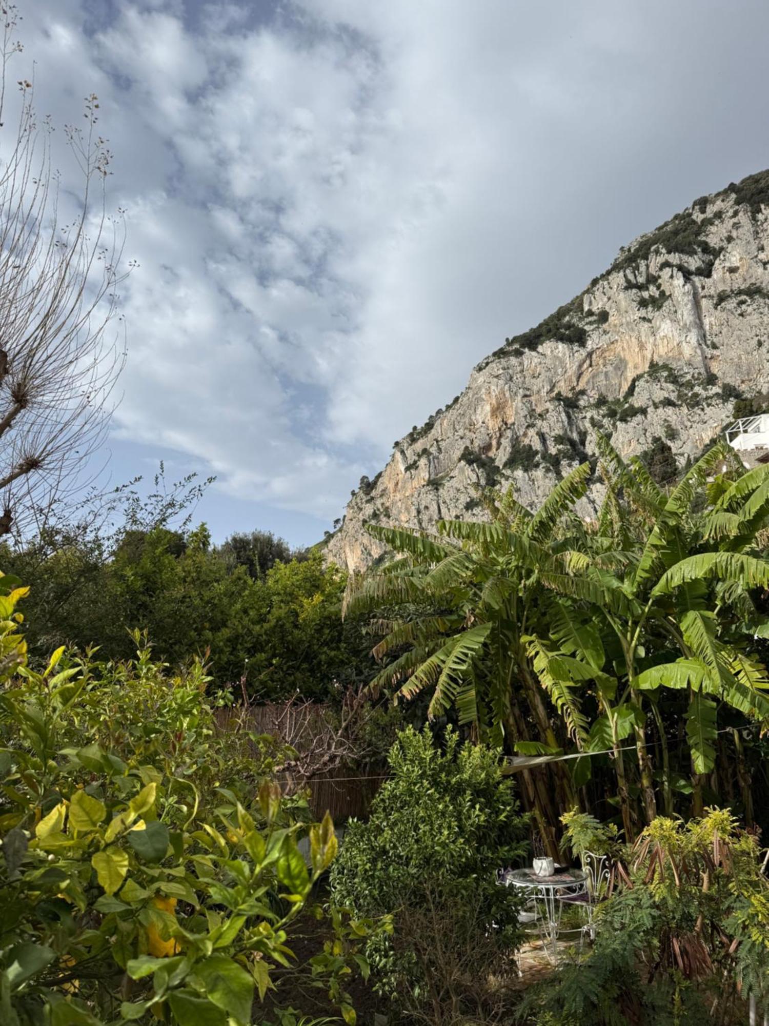 Affittacamere Striano - - Garden&art