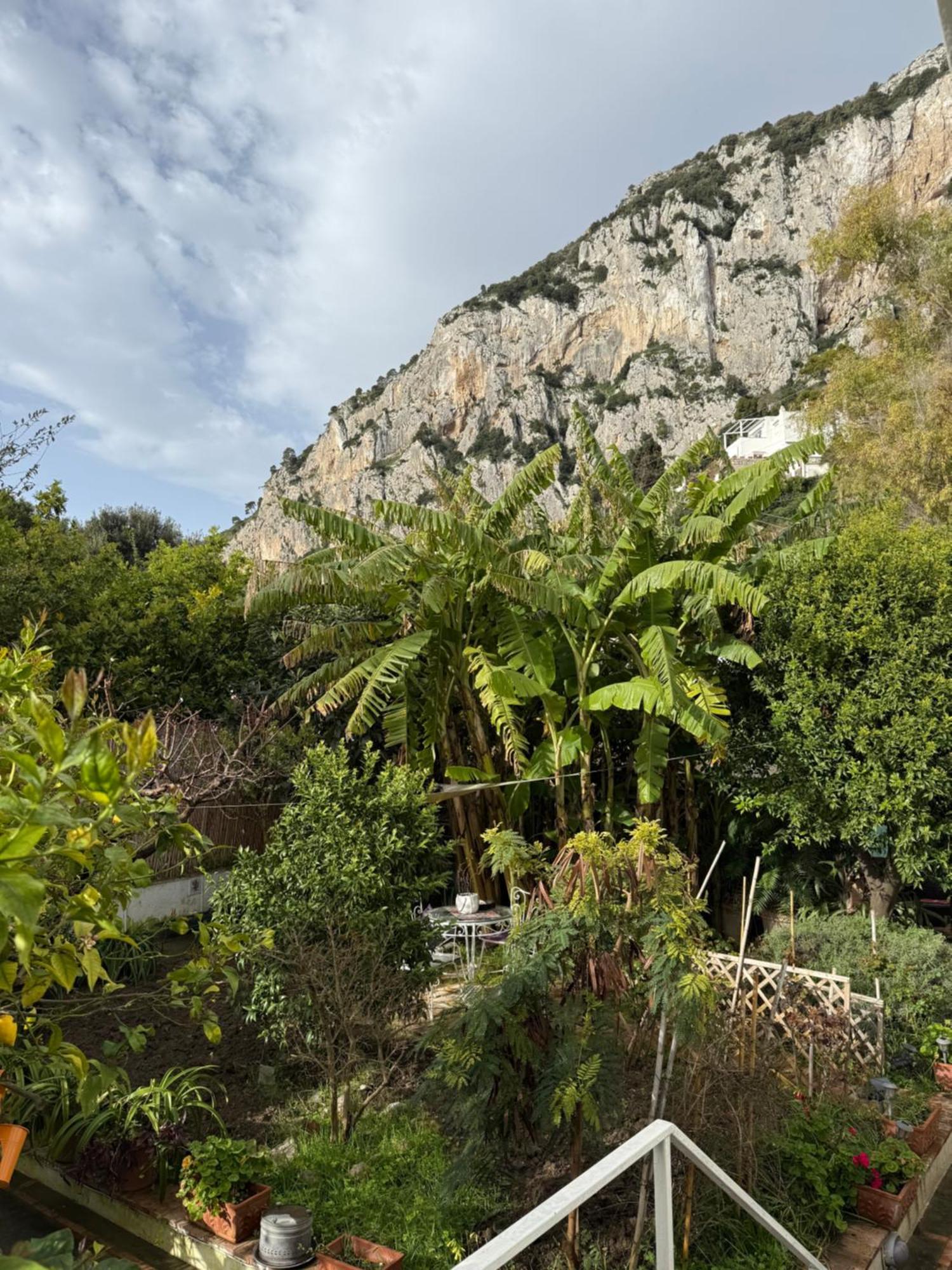 Striano - - Garden&art Affittacamere *