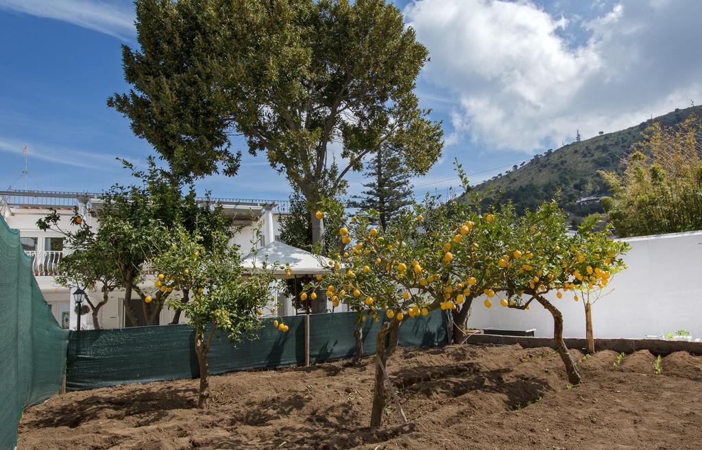 La Limonaia Capri