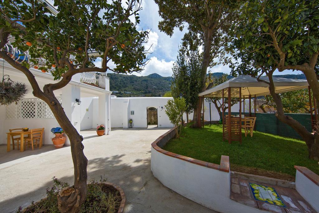 La Limonaia Capri Anacapri (Isola di Capri)