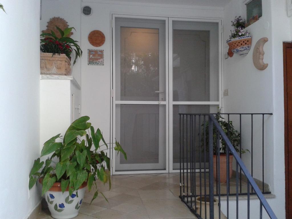 Bed & Breakfast Villa Apollo B&B