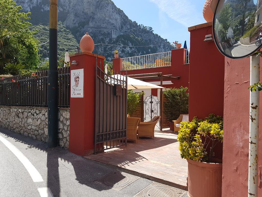 Palatium Mari Capri