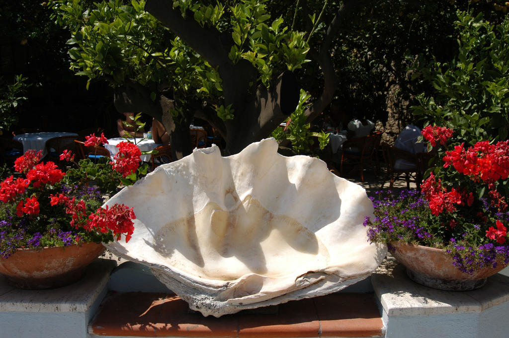 San Felice
