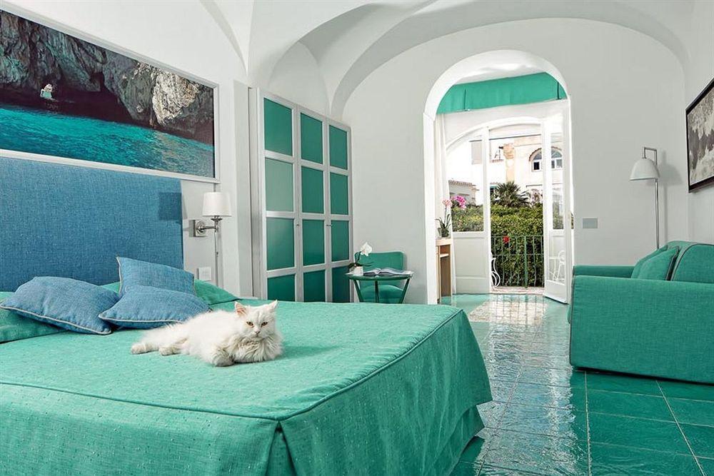Gatto Bianco 4*