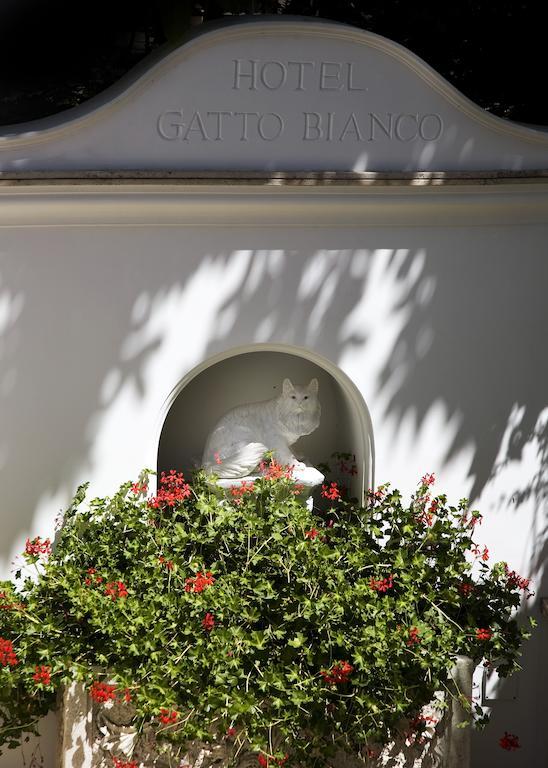 Gatto Bianco Hotel 4*
