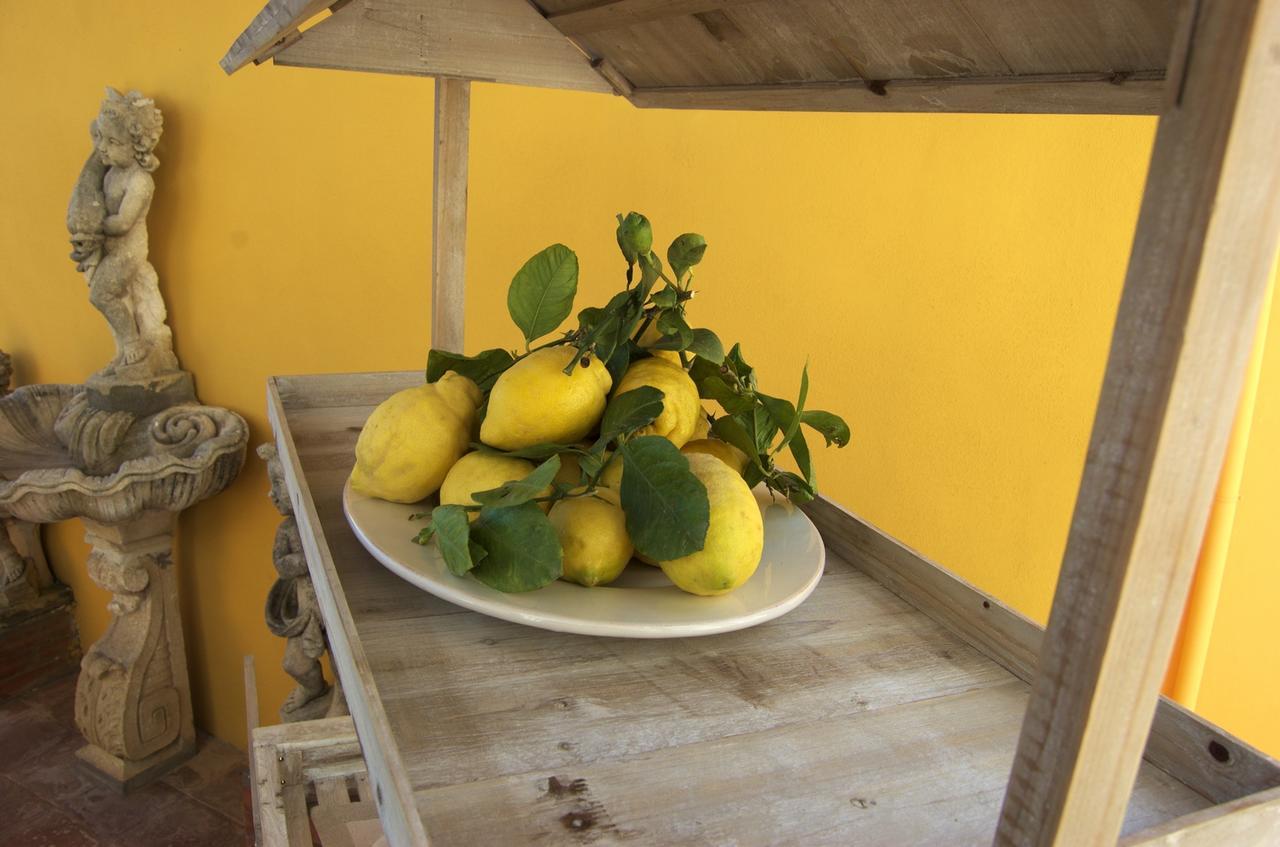 Bed & Breakfast La Terrazza Sul Mare 2*