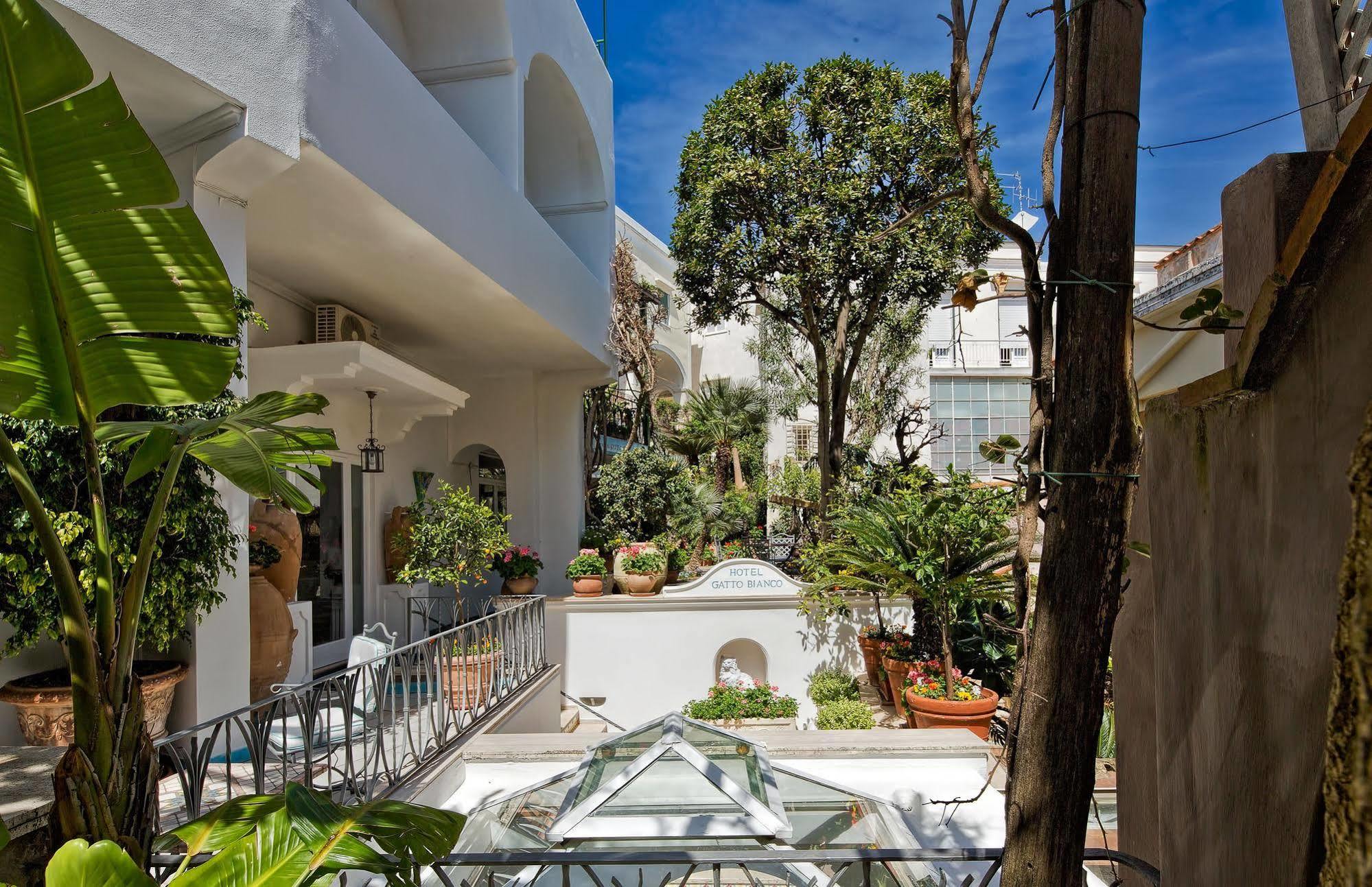 Hotel Gatto Bianco 4*