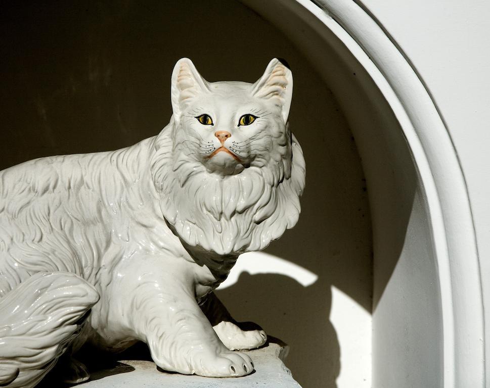 Hotel Gatto Bianco Capri