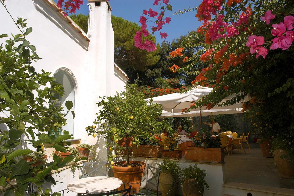 Canasta Hotel Capri