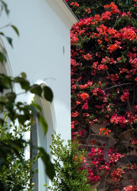 Hotel Canasta