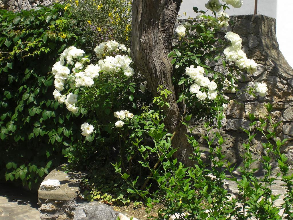 Casa Augusto Bed & Breakfast Capri