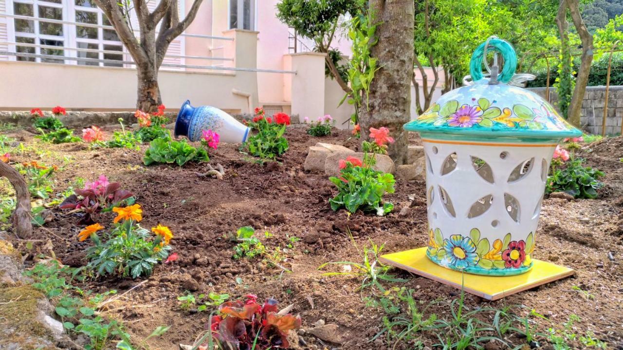 Don Raffae Guest house *