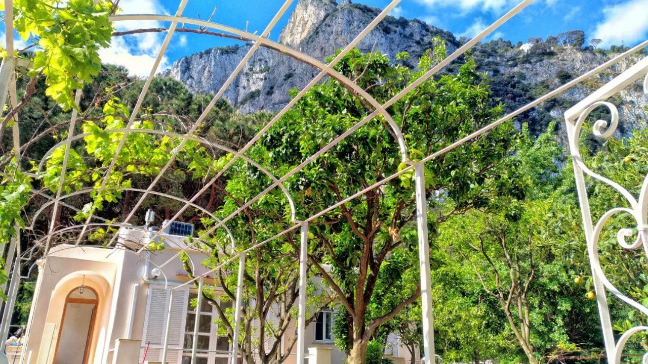 Don Raffae * Capri