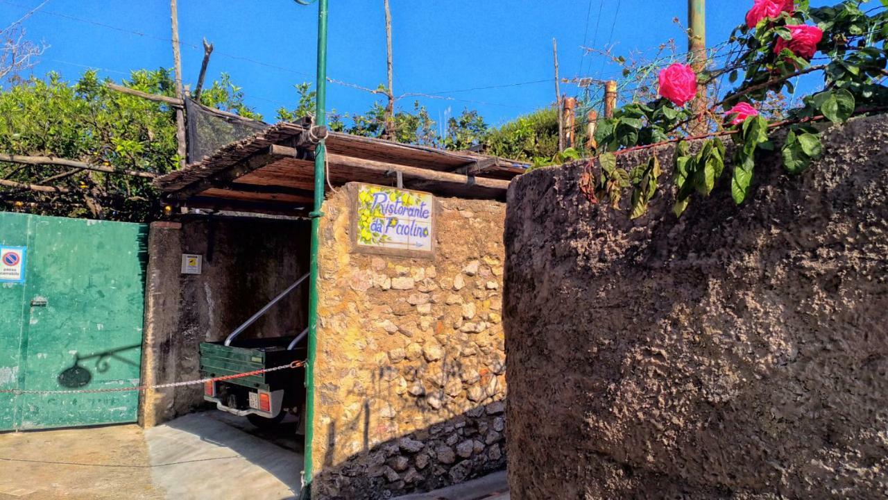 Don Raffae Guest house