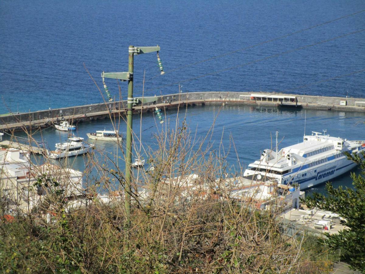 Regina Di - Truglio- * Capri