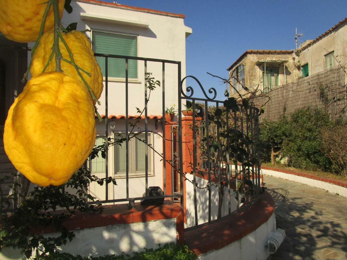 Regina Di - Truglio- * Capri