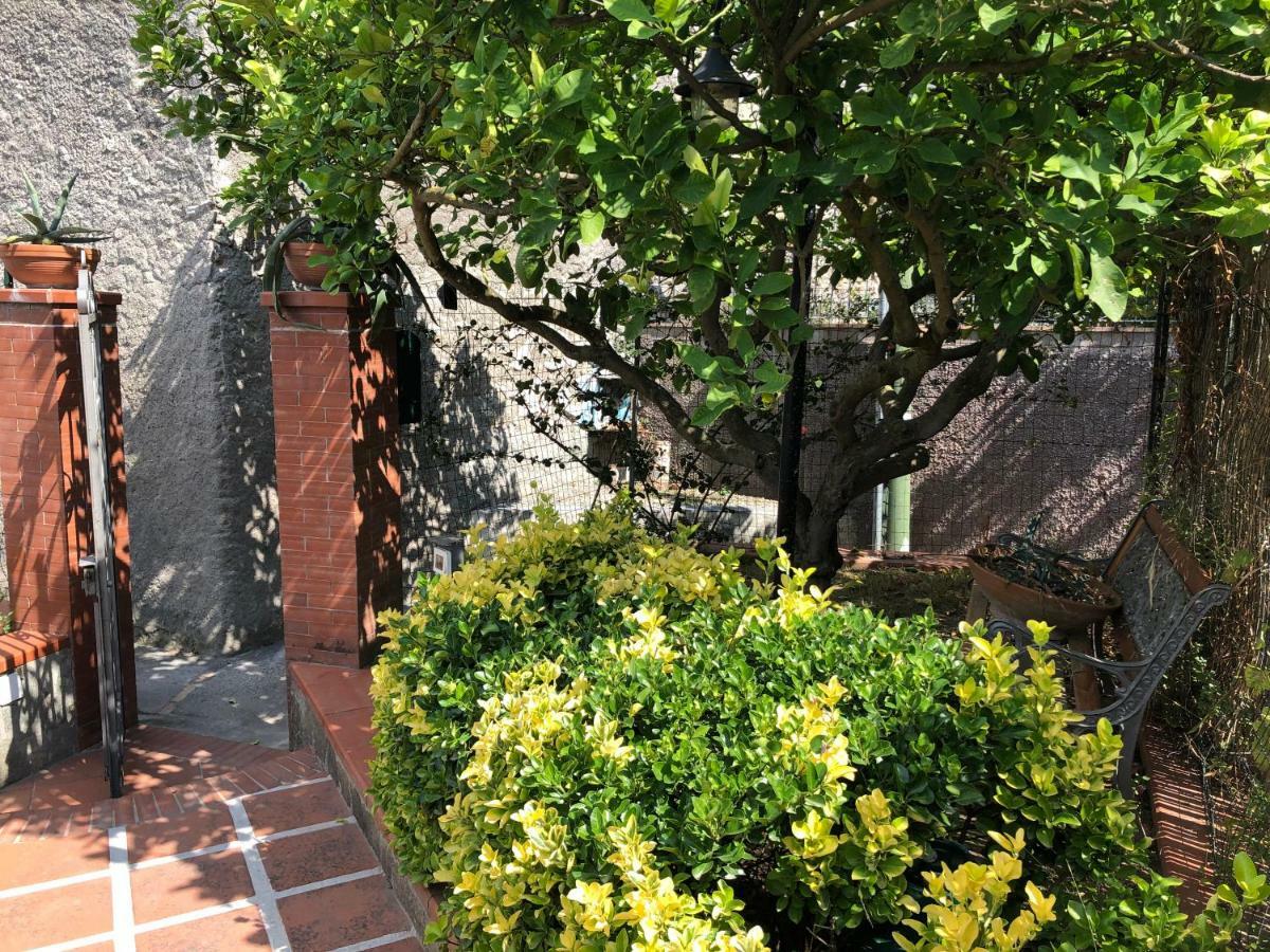 Regina Di - Truglio- Capri