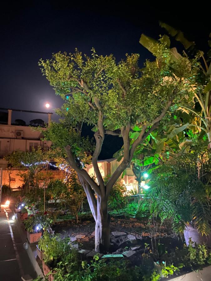 Affittacamere Striano - - Garden&art