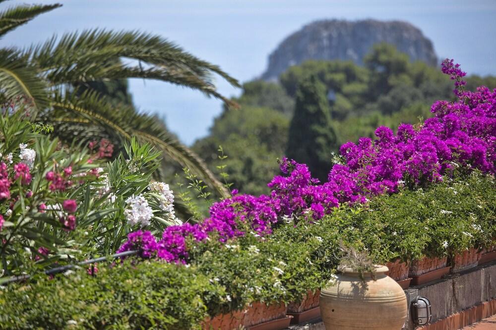 Hotel Sina Flora 4*